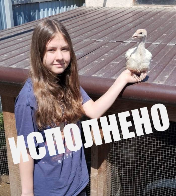 Помощь Анна Белякова