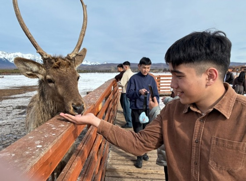 Превью новости