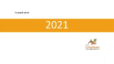 Отчеты: Отчет за 2021 год